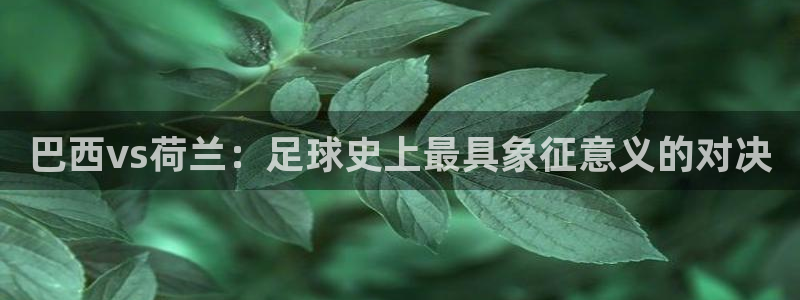 世界杯足球赛:巴西vs荷兰:足球史上最具象征意义的对决
