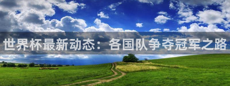 世界杯球队:世界杯最新动态:各国队争夺冠军之路