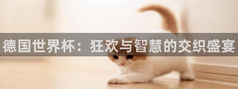 世界杯球赛:德国世界杯:狂欢与智慧的交织盛宴