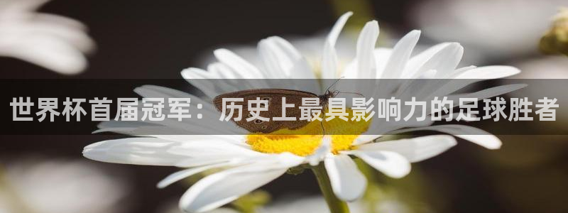 2026年世界杯:世界杯首届冠军:历史上最具影响力的足球胜者