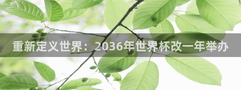 世界杯欧洲区预选赛赛程:重新定义世界:2036年世界杯改一年举办