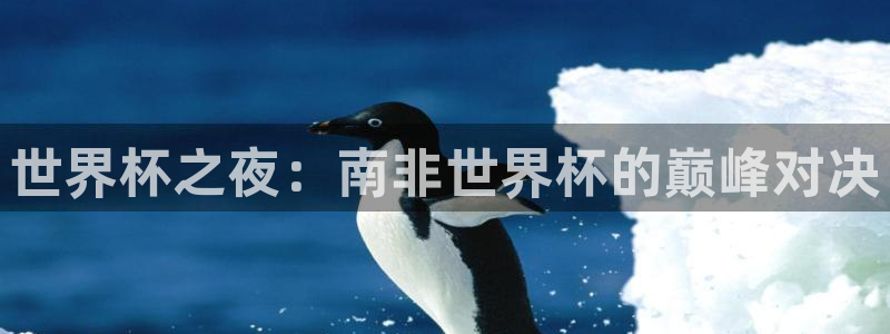 世界杯足球:世界杯之夜:南非世界杯的巅峰对决